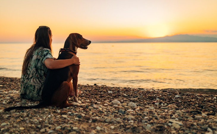 chien et sa propriétaire sur la plage