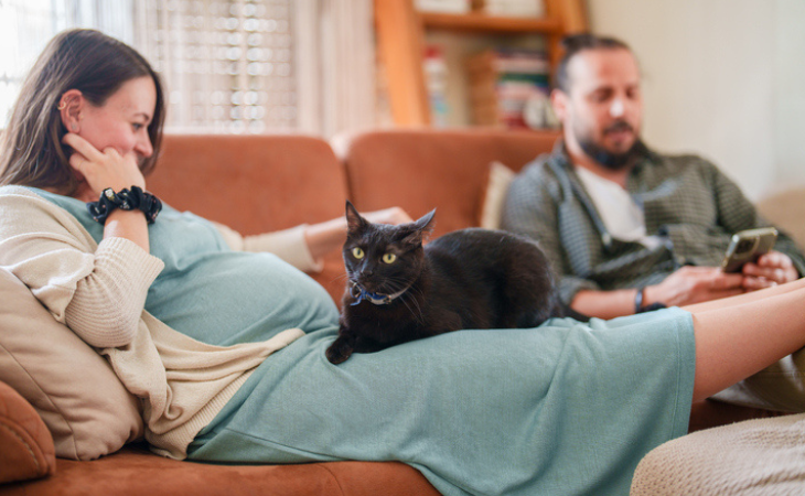 chat et femme enceinte sur un canapé