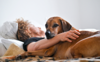 homme qui dort avec son chien