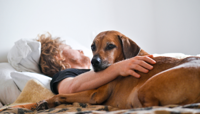 homme qui dort avec son chien